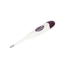 Digital-Thermometer