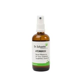 Atembrise Nasenspray